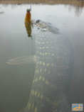 foto/diskuze/z_lovu/2012/th-img46886.jpg