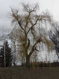 foto/diskuze/z_lovu/2012/th-img46945.jpg