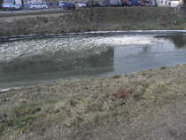 foto/diskuze/z_lovu/2012/th-img47063.jpg