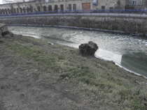 foto/diskuze/z_lovu/2012/th-img47064.jpg