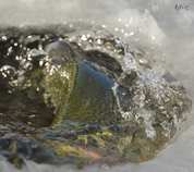 foto/diskuze/z_lovu/2012/th-img47123.jpg