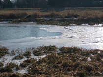 foto/diskuze/z_lovu/2012/th-img47292.jpg