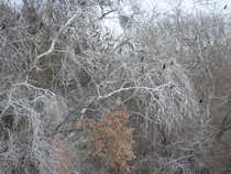 foto/diskuze/z_lovu/2012/th-img47295.jpg