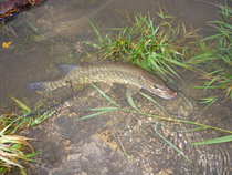 foto/diskuze/z_lovu/2012/th-img47365.jpg