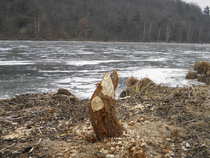 foto/diskuze/z_lovu/2012/th-img47377.jpg