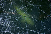 foto/diskuze/z_lovu/2012/th-img47380.jpg