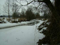 foto/diskuze/z_lovu/2012/th-img47469.jpg