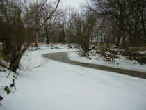 foto/diskuze/z_lovu/2012/th-img47470.jpg