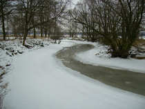 foto/diskuze/z_lovu/2012/th-img47471.jpg