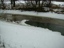 foto/diskuze/z_lovu/2012/th-img47472.jpg