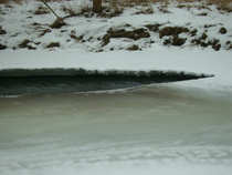 foto/diskuze/z_lovu/2012/th-img47473.jpg