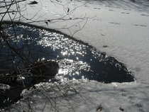 foto/diskuze/z_lovu/2012/th-img47523.jpg