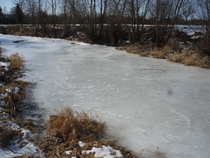 foto/diskuze/z_lovu/2012/th-img47524.jpg