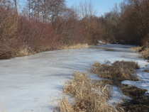foto/diskuze/z_lovu/2012/th-img47525.jpg