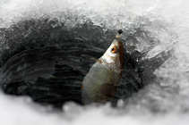 foto/diskuze/z_lovu/2012/th-img47549.jpg