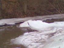 foto/diskuze/z_lovu/2012/th-img47559.jpg