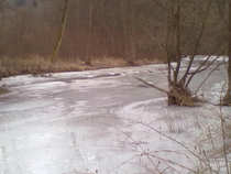 foto/diskuze/z_lovu/2012/th-img47560.jpg