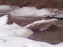 foto/diskuze/z_lovu/2012/th-img47562.jpg