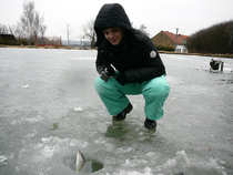 foto/diskuze/z_lovu/2012/th-img47578.jpg