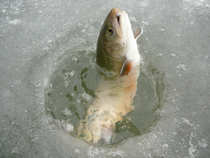 foto/diskuze/z_lovu/2012/th-img47581.jpg