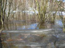 foto/diskuze/z_lovu/2012/th-img47611.jpg