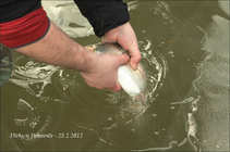 foto/diskuze/z_lovu/2012/th-img47630.jpg