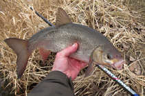 foto/diskuze/z_lovu/2012/th-img47644.jpg