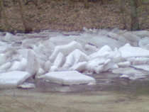 foto/diskuze/z_lovu/2012/th-img47675.jpg