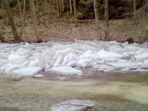 foto/diskuze/z_lovu/2012/th-img47676.jpg