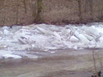 foto/diskuze/z_lovu/2012/th-img47677.jpg