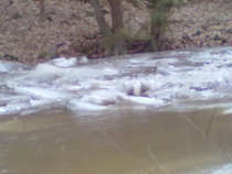 foto/diskuze/z_lovu/2012/th-img47678.jpg