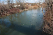 foto/diskuze/z_lovu/2012/th-img47696.jpg