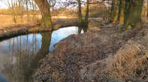 foto/diskuze/z_lovu/2012/th-img47707.jpg
