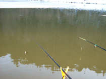 foto/diskuze/z_lovu/2012/th-img47709.jpg