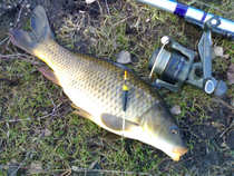 foto/diskuze/z_lovu/2012/th-img47766.jpg