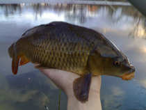 foto/diskuze/z_lovu/2012/th-img47767.jpg
