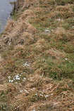 foto/diskuze/z_lovu/2012/th-img47776.jpg
