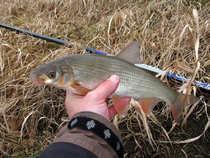 foto/diskuze/z_lovu/2012/th-img47777.jpg