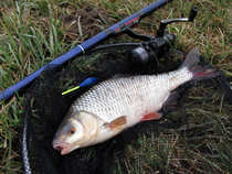 foto/diskuze/z_lovu/2012/th-img47778.jpg