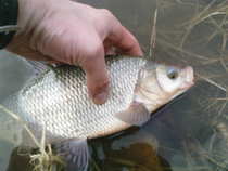 foto/diskuze/z_lovu/2012/th-img47782.jpg