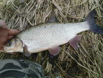 foto/diskuze/z_lovu/2012/th-img47784.jpg