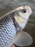 foto/diskuze/z_lovu/2012/th-img47792.jpg