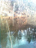 foto/diskuze/z_lovu/2012/th-img47831.jpg