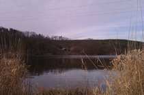 foto/diskuze/z_lovu/2012/th-img47836.jpg