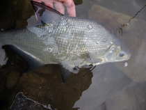 foto/diskuze/z_lovu/2012/th-img47846.jpg
