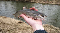 foto/diskuze/z_lovu/2012/th-img47849.jpg