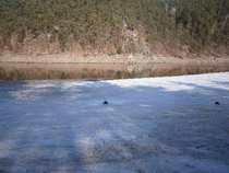 foto/diskuze/z_lovu/2012/th-img47873.jpg