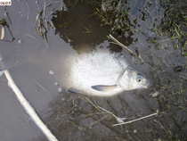 foto/diskuze/z_lovu/2012/th-img47880.jpg