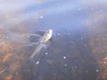 foto/diskuze/z_lovu/2012/th-img47897.jpg