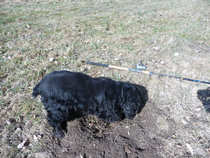 foto/diskuze/z_lovu/2012/th-img47900.jpg